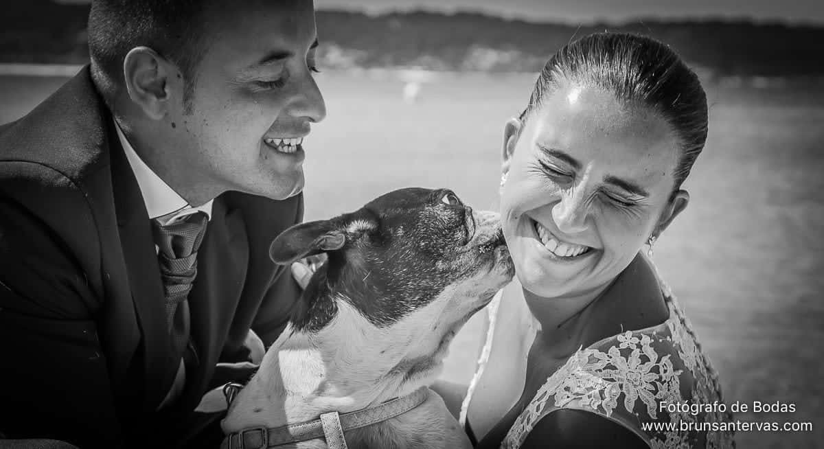 La mascota de los novios.