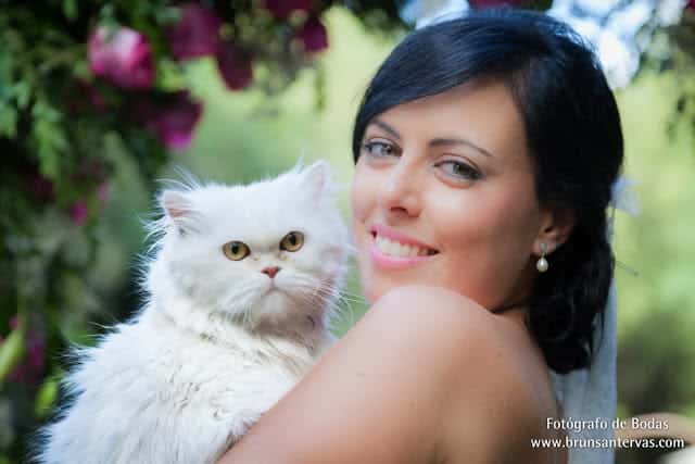 La mascota de los novios en la Boda
