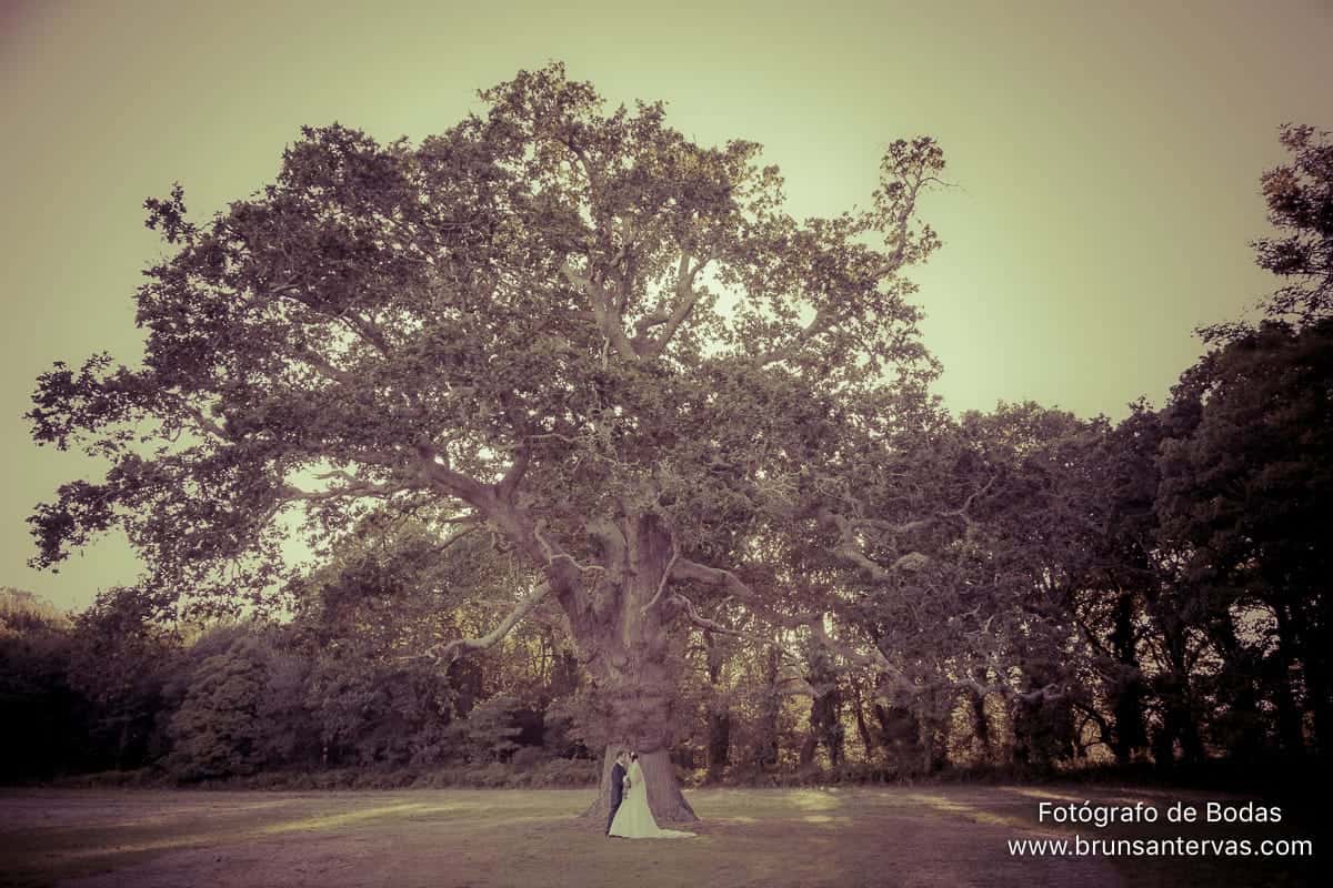 boda-novios-cores-brunsantervas-fotografo-boda